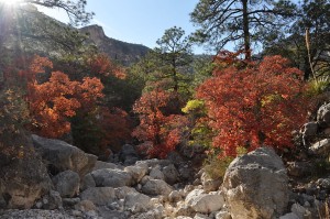 Hiking near Carlsbad New Mexico