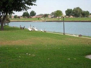 Fishing in Carlsbad New Mexico